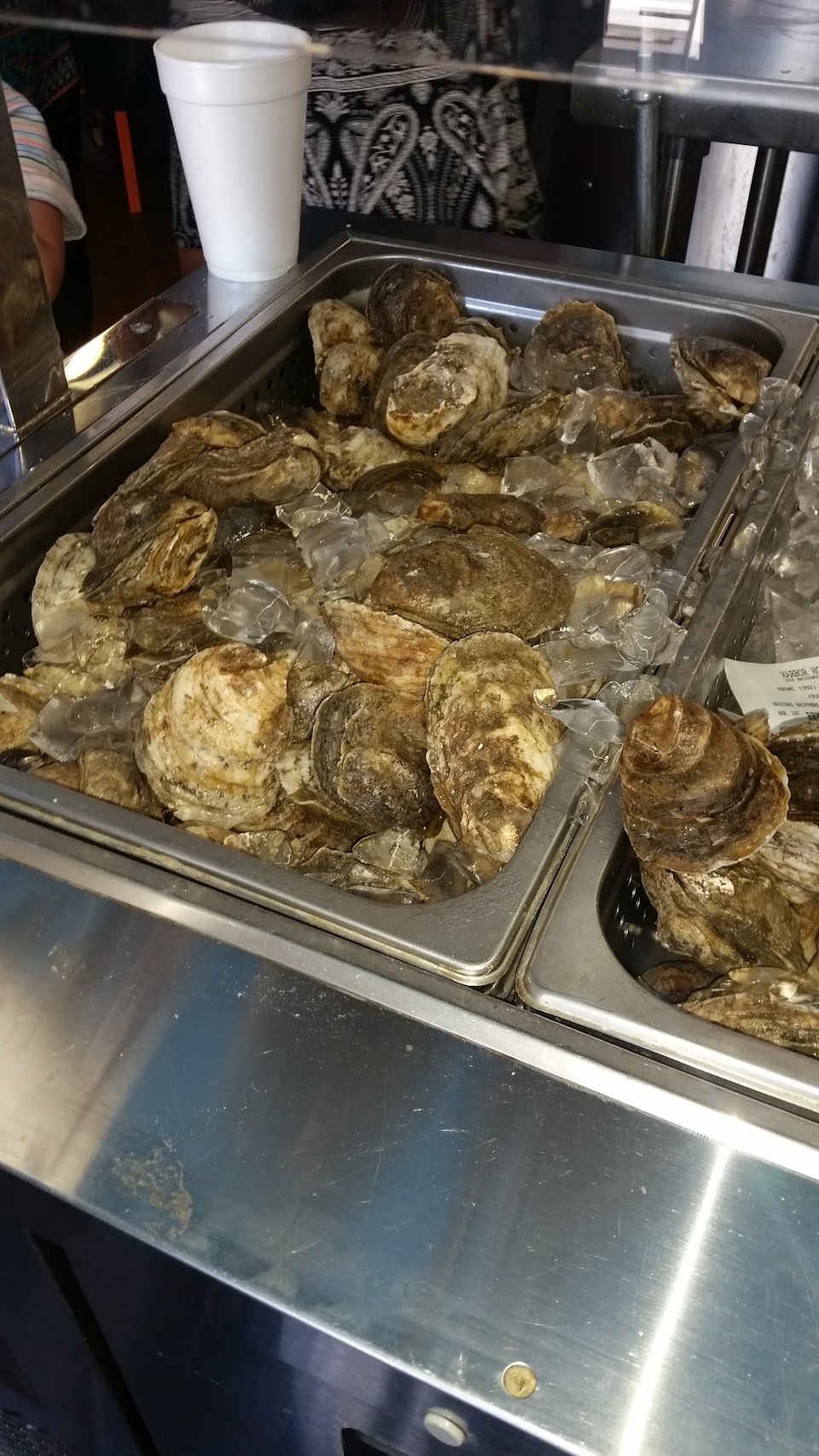Oyster's